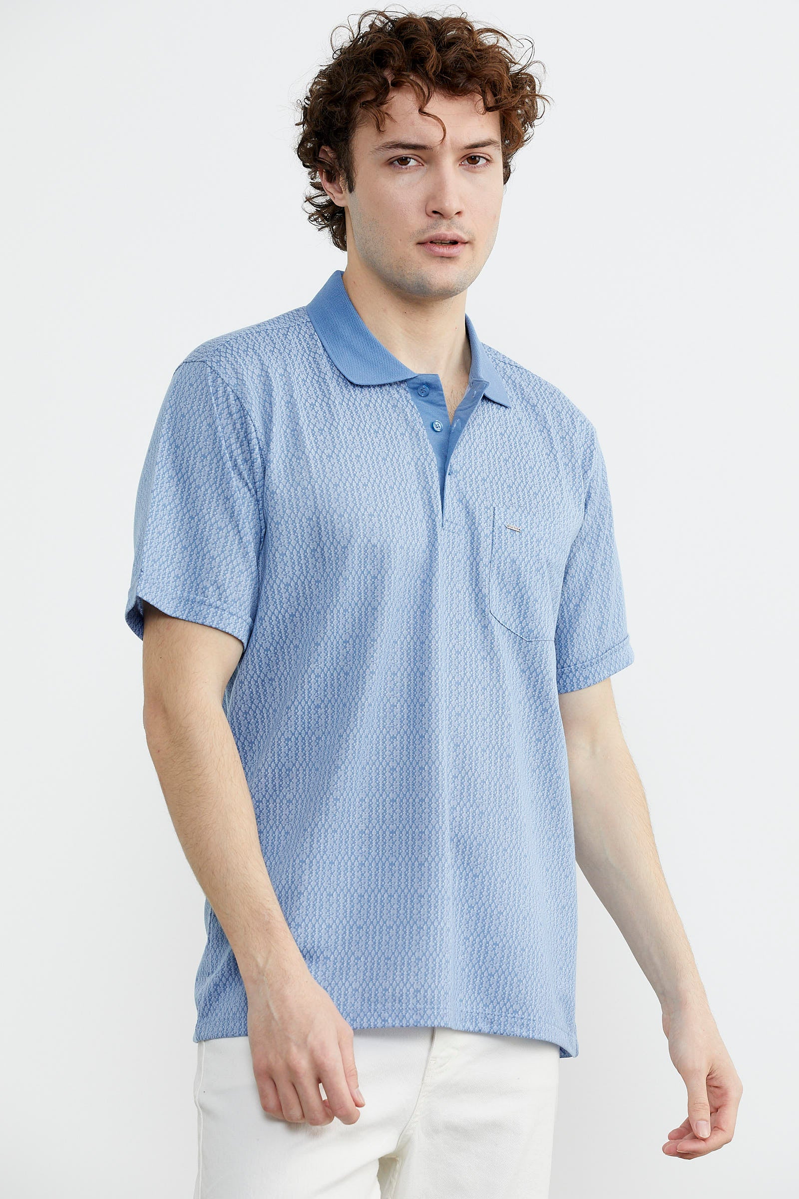 Regular Fit Polo Yaka Desenli Tişört - Mavi (2) Sementa